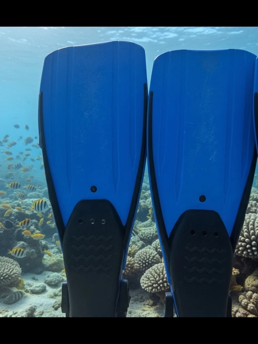 Men's Blue & Black Boat/Water Shoes
